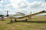 Beech1 Resize